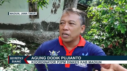 Sebanyak 7 Warga di Sumsel Meninggal Dunia Akibat DBD