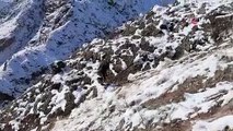 'Yalnız Kurt' lakaplı Nizam Kul, Sitare Dağı'na her gün koşarak tırmanıyor