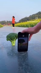 The best positions for photographing your children