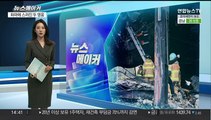 [뉴스메이커] 화마와 끝까지 싸우다 스러진 27살·35살 두 영웅
