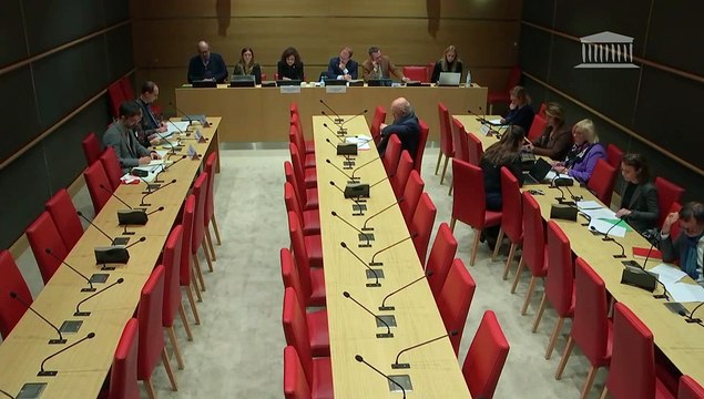 Modèle économique des crèches et qualité de l’accueil des jeunes enfants : Représentants de la Direction générale de la concurrence, de la consommation et de la répression des fraudes - Mercredi 31 janvier 2024