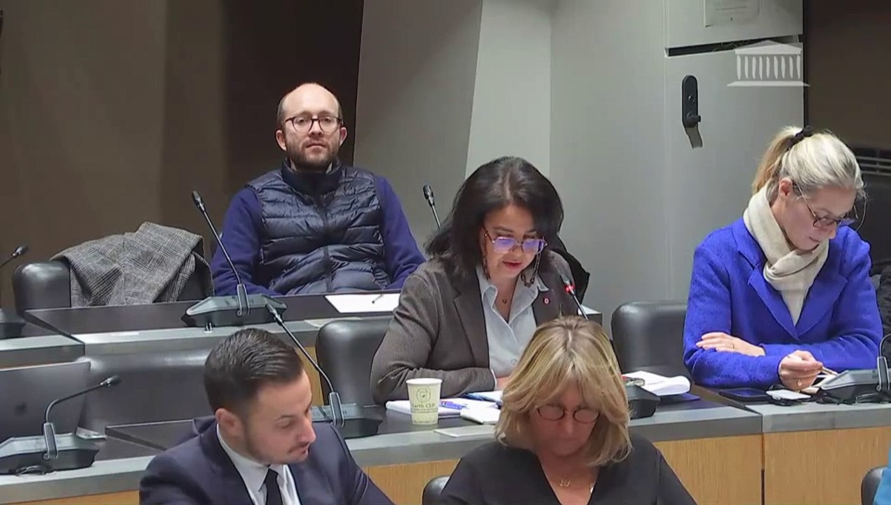 Commission des affaires culturelles : Table ronde sur le thème « Éducation populaire : périmètre et enjeux » - Mercredi 31 janvier 2024
