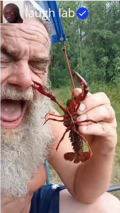 try not to laugh