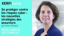 Se protéger contre les risques cyber : les nouvelles stratégies des assureurs [Anne Césard]