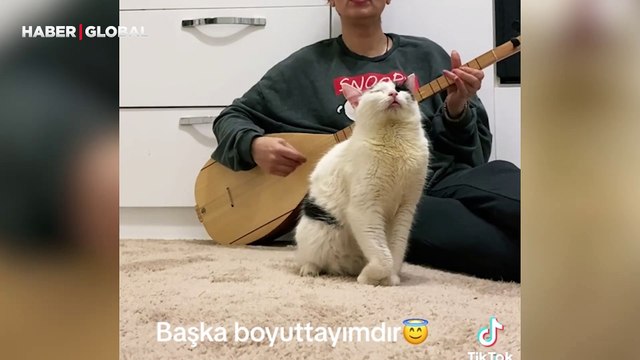 Sahibi saz çalınca kendinden geçen kedinin hareketleri güldürdü: 'Başka bir boyutta'