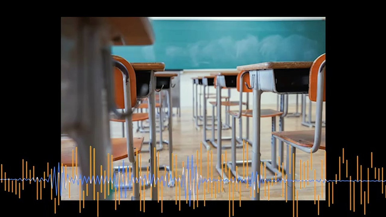 Nicolas Voisin de la SNUIPP FSU invité sur maritima radio