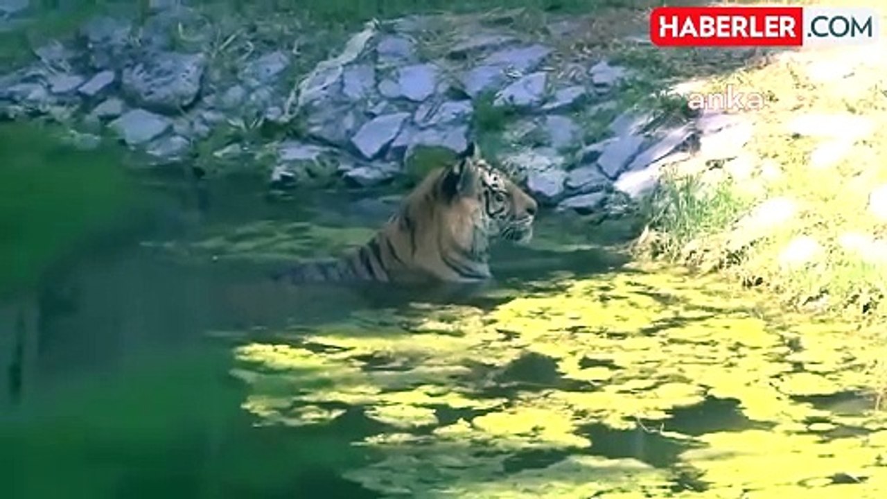 İzmir Doğal Yaşam Parkı Pazartesi Günleri Ziyarete Kapalı Olacak