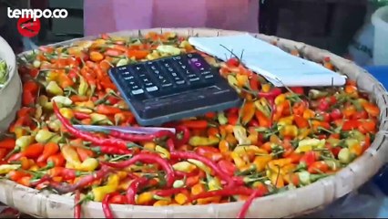 Jokowi Tinjau Pasar Wonogiri Kota, Klaim Semua Harga Terkendali Kecuali Beras