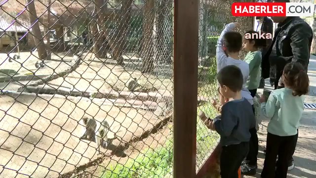 Antalya Büyükşehir Belediyesi Doğal Yaşam Parkı Yarıyıl Tatilinde Yoğun İlgi Görüyor