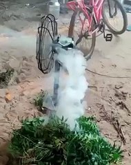 Wonderful, Something Different #shorts #shortsvideo #video #viral #innovationhub