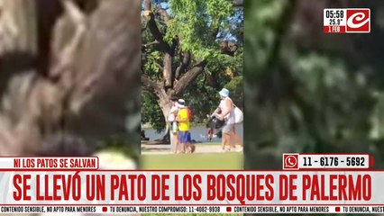 La filmaron cuando se robaba un pato de los lagos de Palermo