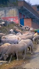 Beautiful Places of Pakistan