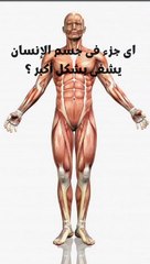 اى جزء فى جسم الانسان يشفى بشكل اكبر ؟