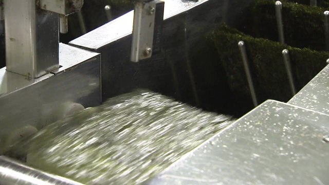 지난해 김 수출액 1조 원 돌파...역대 최대 실적 / YTN