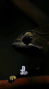 Let your success make the noise mindsetmatters motivationalpage quotelife