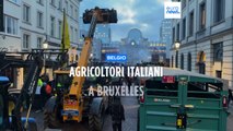 Agricoltori italiani protestano a Bruxelles, Coldiretti: 
