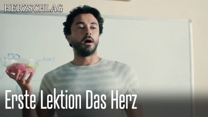 Erste Lektion Das Herz