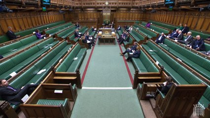 DUP MP Paul Girvan attacks lack of duty free as he says NI remains in EU single market