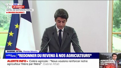Gabriel Attal veut une définition "claire" de la viande de synthèse au niveau européen