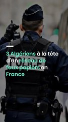 3 Algériens à la tête d'un réseau de faux papiers en France