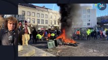 Montserrat y Zoido (PP) y García - Gallardo (Vox) apoyan a los agricultores españoles en Bruselas