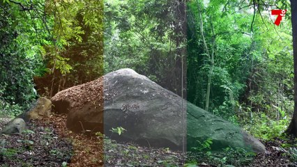 Découverte de CAN : la région du Haut-Sassandra