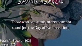 Translation of Surah Al Baqrah Ayats