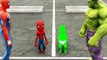GTA 5 - Spiderman vs Hulk match, Who is the richest  -- #shorts #shortvideo #shortviral --