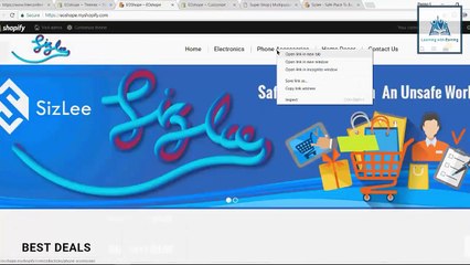 Shopify Course 19 Theme setting