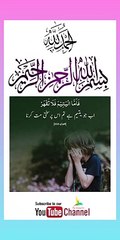 Quran , Al Quran Surah 93 Ayat 09 #viral #shorts #quran #youtubeshorts #ayat #plyghalatv #pilwaaltv #asadnisar