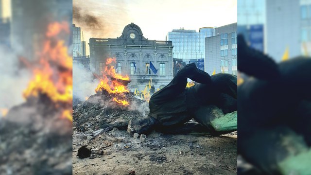 Agriculteurs en colère : plus de 1000 tracteurs à Bruxelles, tensions au pied du Parlement