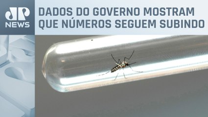 Rio de Janeiro registra 17.500 casos de dengue em 2024