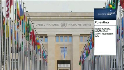 Reporte 360º 01-02: ONU y Media Luna Roja denuncian ataques a sus sedes en Gaza