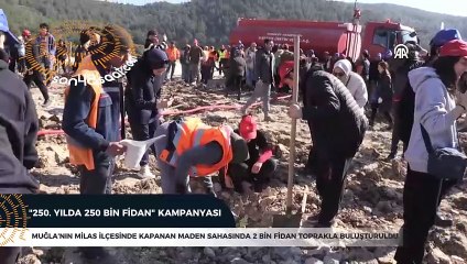 Muğla'da kapanan maden sahasında 2 bin fidan toprakla buluşturuldu