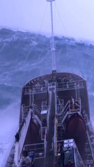 #NorthSea, pourquoi la mer du Nord fascine sur TikTok