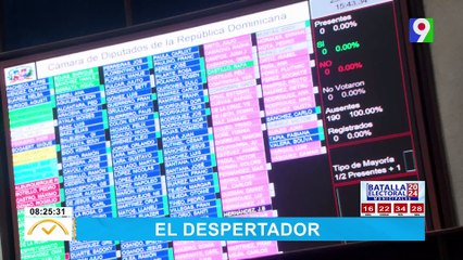 Piden legislatura para reformar ley de la DNI  | El Despertador