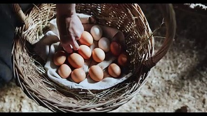 Eating Eggs benefits