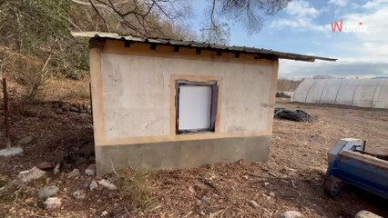 Occitanie : alertés par des aboiements, ils découvrent un chien enchaîné dans un cabanon