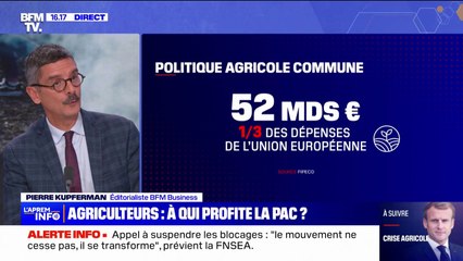 À qui profite le plus la politique agricole commune?