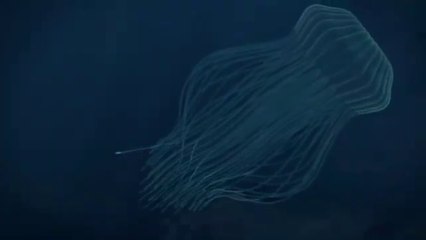 BAJO EL MAR (THE DEEP) | TEMPORADA 3 | EPISODIO 4 | "UN DELICIOSO MANJAR" EN ESPAÑOL LATINO