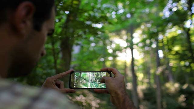 De esta manera la inteligencia artificial está ayudando a preservar la Amazonia colombiana