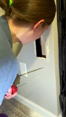 Adventurous Kitty Gets Stuck Behind Basement Wall