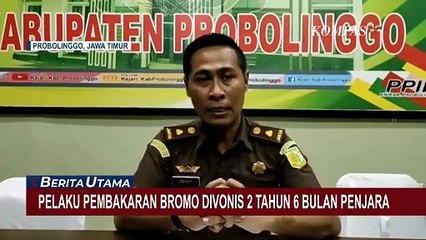 Manajer WO Terdakwa Kebakaran Bromo Divonis 2,6 Tahun Penjara dan Denda Rp3,5 Miliar