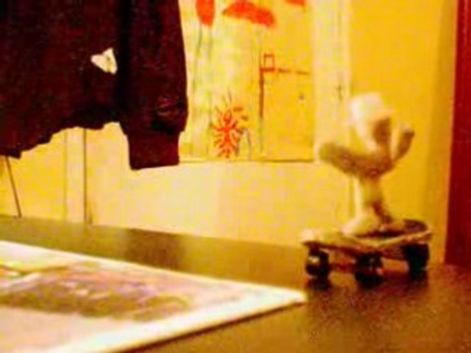 Bonhomme - skate