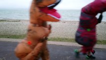 Gosport dinosaurs - last mile