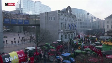 Bruxelles : la convergence des luttes agricoles européennes