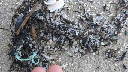 Desastre de pellets Galicia.