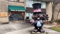 Meet the man who takes care of Punxsutawney Phil