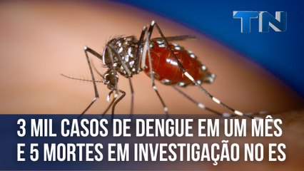 3 mil casos de dengue em um mês e 5 mortes em investigação no ES