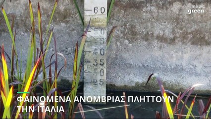 Περιβάλλον: Φαινόμενα ανομβρίας πλήττουν την Ιταλία